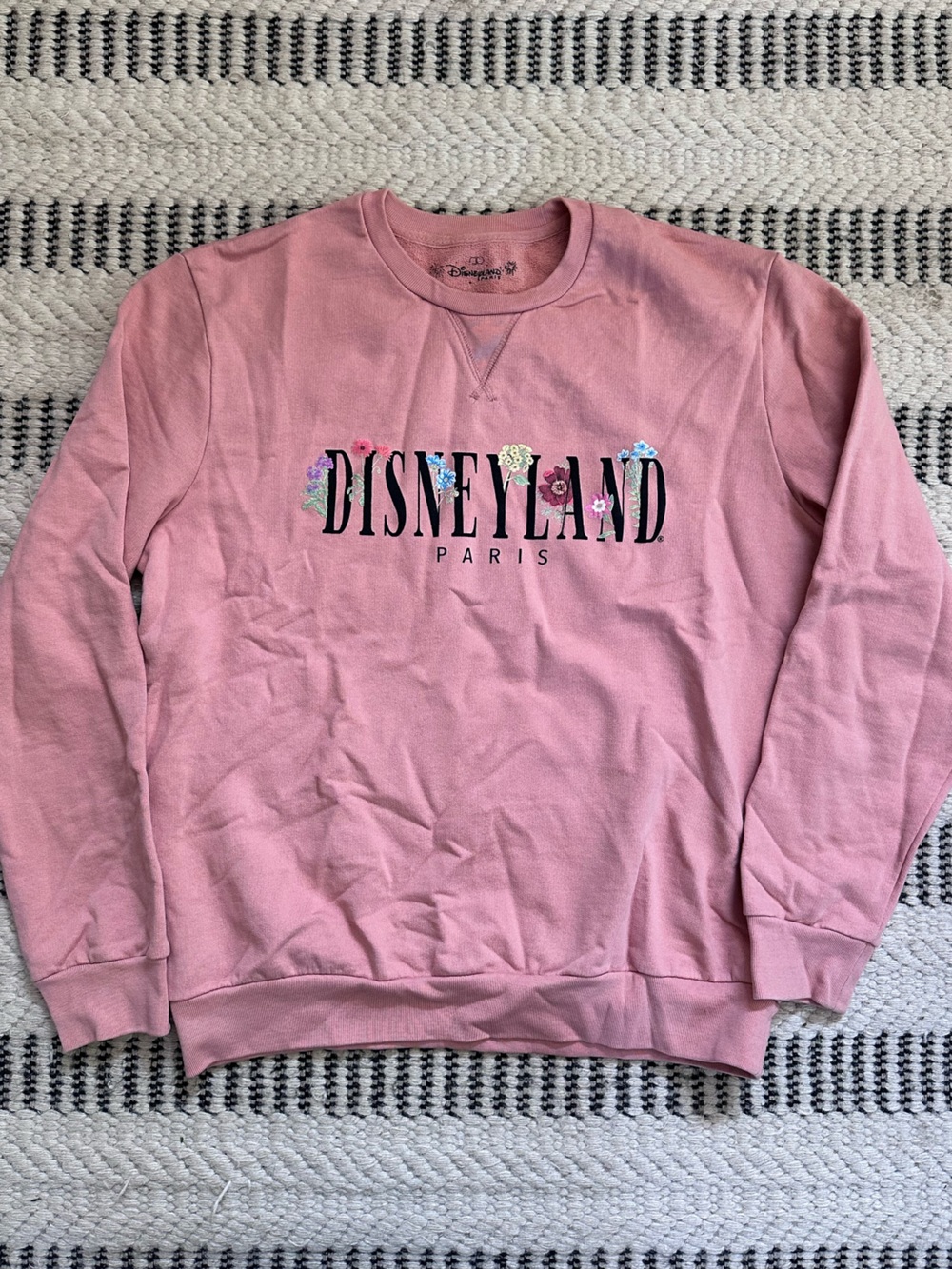 Disneyland Paris sweatshirt